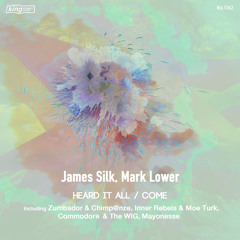 Heard It All (Inner Rebels & Moe Turk Remix)