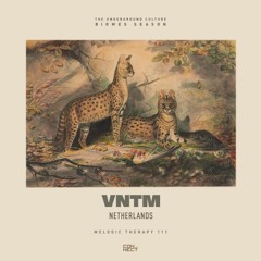 VNTM @ Melodic Therapy #111 - Netherlands