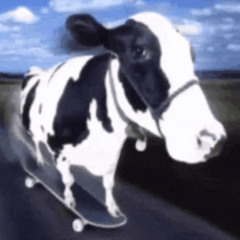 RAF - HOLYCOW