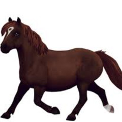 Scaponi