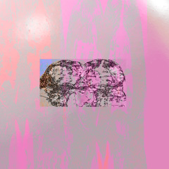 SOMETIMES LIFE IS WORTH SHIT