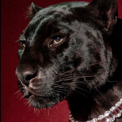 Maggie lindemann complete playlist 🫀