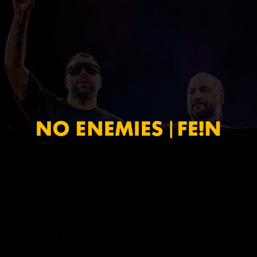 No Enemies | FE!N (Polygoneer & Raving Jax Mashup)