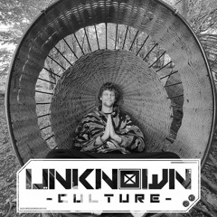 Unknown Culture Podcast #2 - Avio