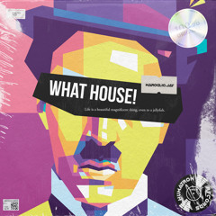 maroglio.jay - What House! [Humatron Records]