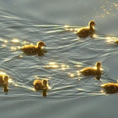 kxmm - lonely road w jahhlu