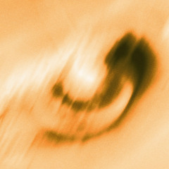 Evito - AMBER (Prizmal Remix)