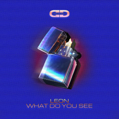 Leon - What Do You See (Extended Mix)