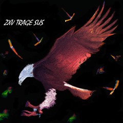 ZXV TRAGE SUS (feat. Huncut Kic$i Baba)