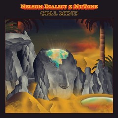 Nelson Dialect & NuTone - See Me Now