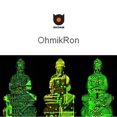 electrocat - OhmikRon 25.05.2020.