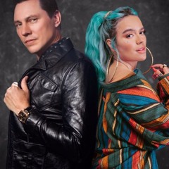 Tiesto & Karol G - Don't Be Shy   ( Charly Govea Remix )