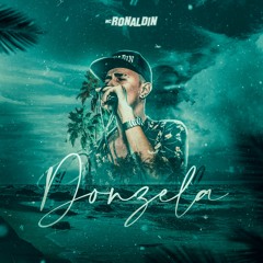 Mc Ronaldin - Donzela (CAMARGO)