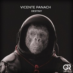 Vicente Panach - Destiny (Original Mix)