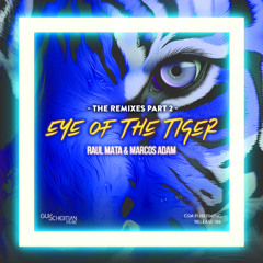 Raul Mata & Marcos Adam - Eye Of The Tiger (Rashad Miraz Radio Edit)