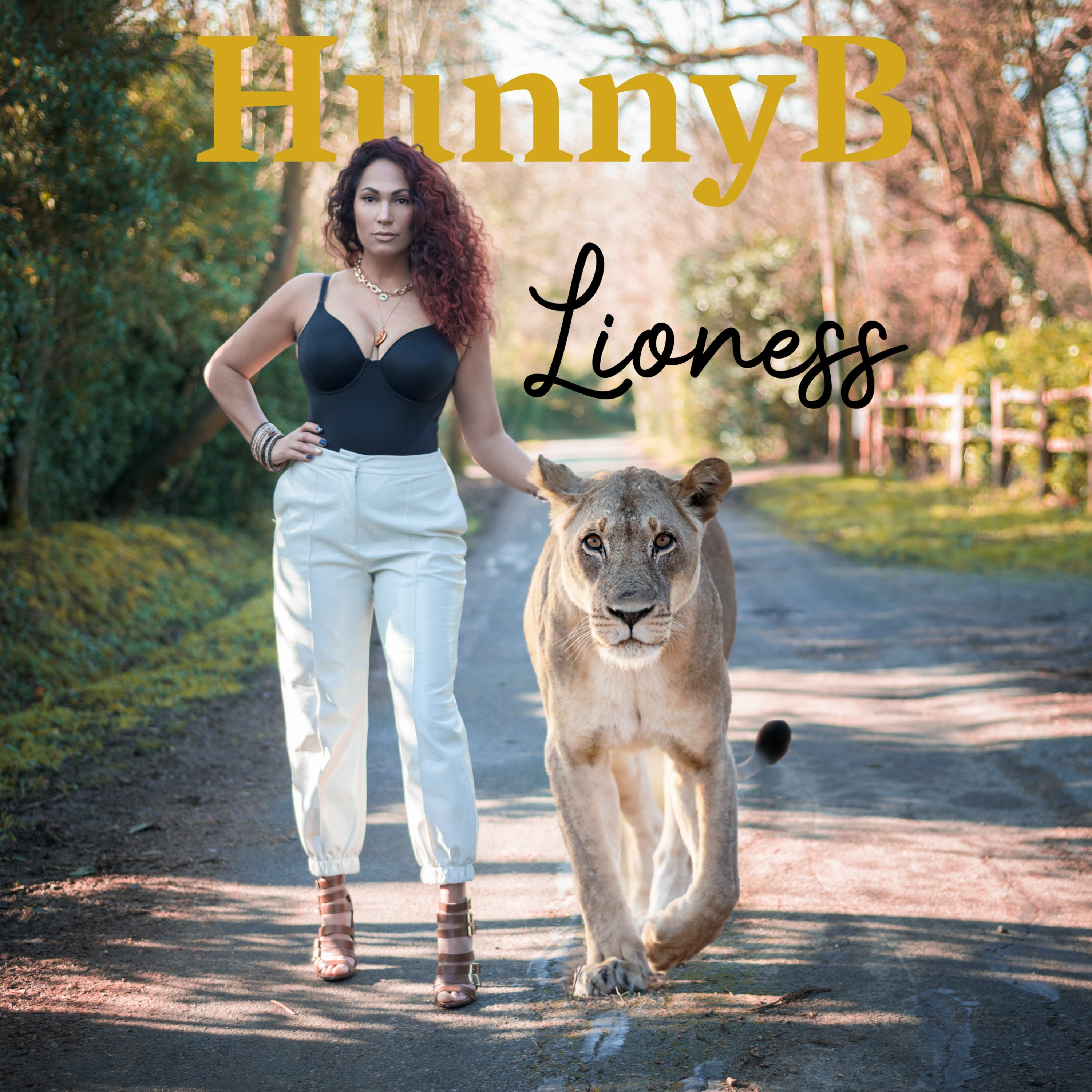 LIONESS episode artwork