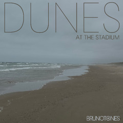 Dunes at the stadium