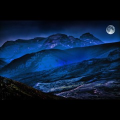 From Dream To A Nightmare