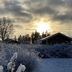Kan jag, kan du (En hyllning till Daniel)
