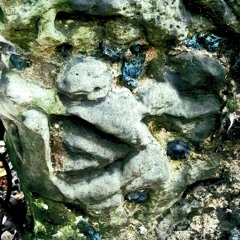 KleffEar- HIBERNATION