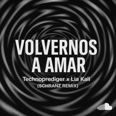 Volvernos a Amar (Hardtechno Schranz Remix) - Technoprediger x Lia Kali)Bootleg