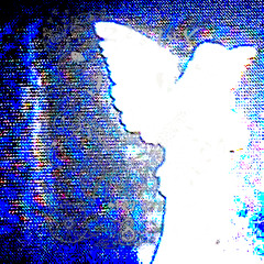 angel x realiti