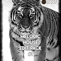 Hannes Bruniic - Melodic House Edit Pack 1