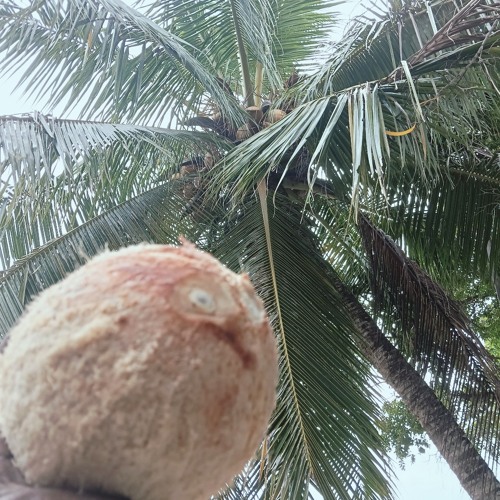 Own Blood 🤝🏿✌🏿