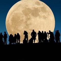 Moon Eclipse