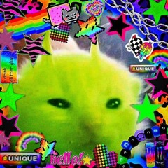 meow/meow