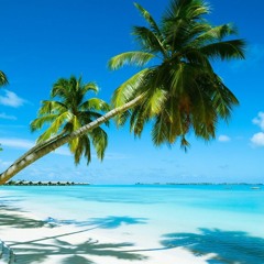 i got you babe - bahamas (cover)