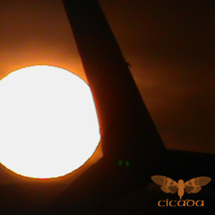 REC008