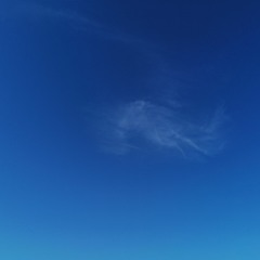 Everything Is Fine (rough demo)