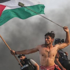 Free Palestine