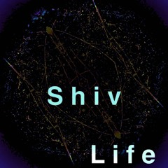 Shiv life
