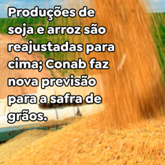 Produções de soja e arroz são reajustadas para cima; Conab faz nova previsão para a safra de grãos