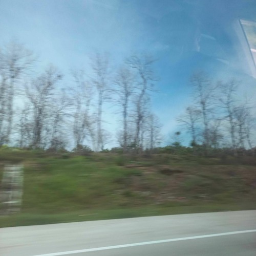 Self Development (prod johnnyfriend x reesoo)