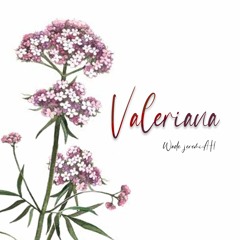 VALERIANA - Wade JeremiAh Podcast