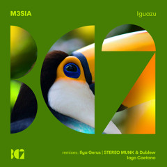 M3SIA - Iguazu (Original Mix)