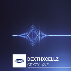 CRXZY LXVE