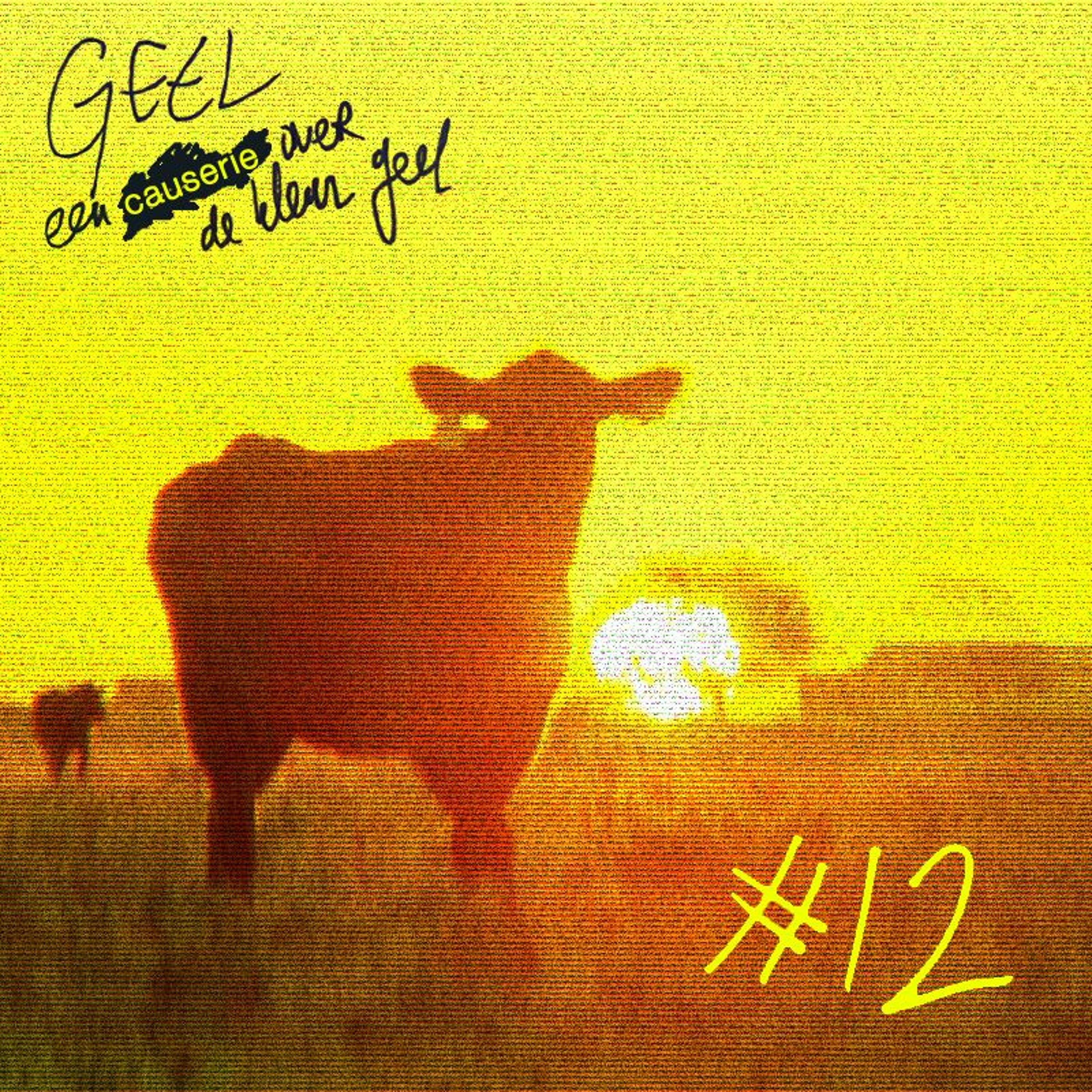 GEEL #12 : #GeleWaarheid