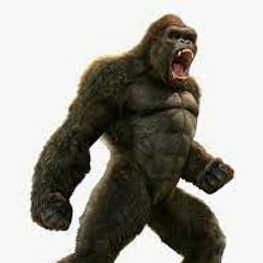 BOOM BAM BANG X DjCoverMix974 2022