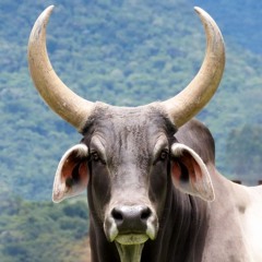 VAI NAMORA BOBO X NAMORAR NÃO PODE [ [ DJ LR DE MAGÉ ] ] FELIZ DIAS DOS NAMORADOS KKK