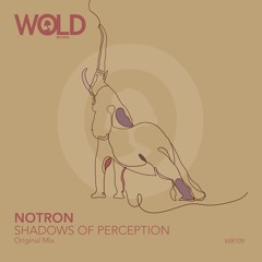 NOTRON - Shadows Of Perception (Original Mix)