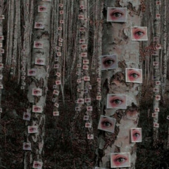 Insomnia (demo)