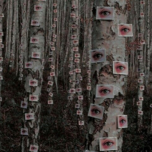 Insomnia (demo)