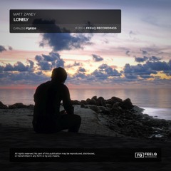 Matt Zaney - Lonely