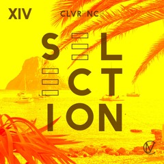 Selection 14# [BDAY Edition]