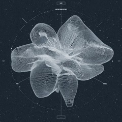 Universe Breathing