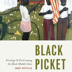⚡️ Black Picket Fences, Second Edition: Privilege and Peril among the